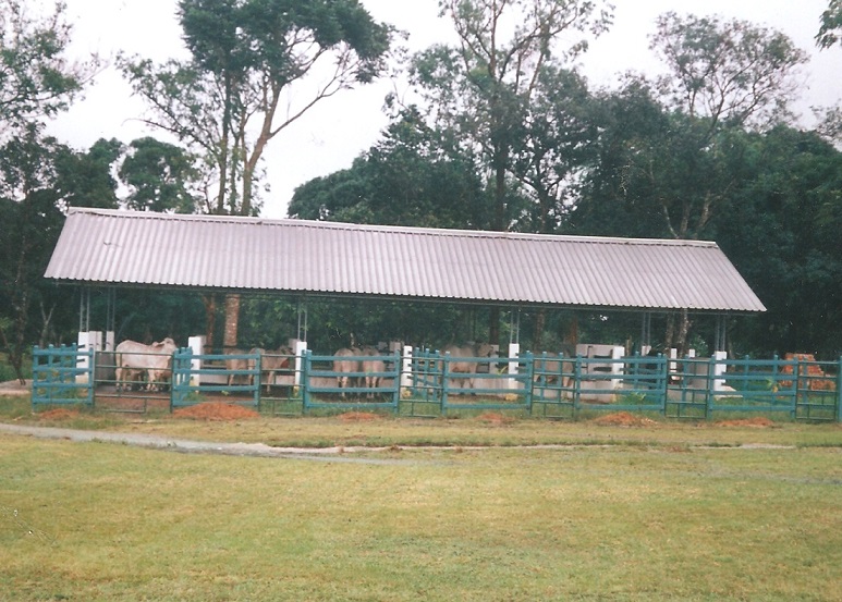 corral establos decorativos finca cercado establo decorar finca decoración corrales establos planos diseños bonitos pesebreras corrales establos ganaderías estabuladas estabulados ceba 007 corral establos decorativos finca cercado establo decorar finca decoración corrales establos planos diseños bonitos pesebreras corrales establos ganaderías estabuladas estabulados ceba 007 corral establos decorativos finca cercado establo decorar finca decoración corrales establos planos diseños bonitos corral establos decorativos finca cercado establo decorar finca decoración corrales establos planos diseños bonitos pesebreras corrales establos ganaderías estabuladas estabulados ceba 007 pesebreras corrales establos ganaderías estabuladas estabulados ceba 007